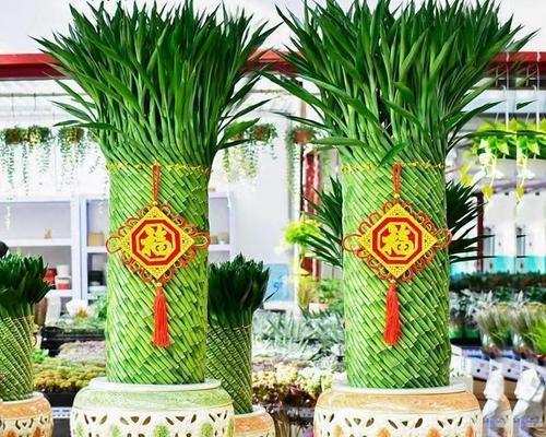 哪种花寓意带来好运？好运花有哪些？