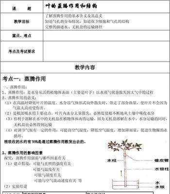 四色花水的寓意是什么？它有哪些特别的含义？