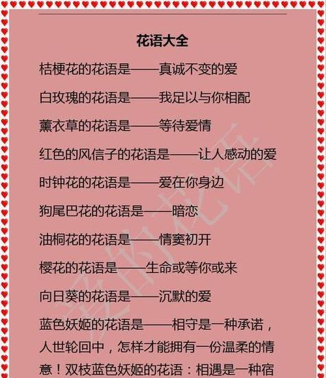 寓意非常甜蜜的花有哪些？它们的花语是什么？
