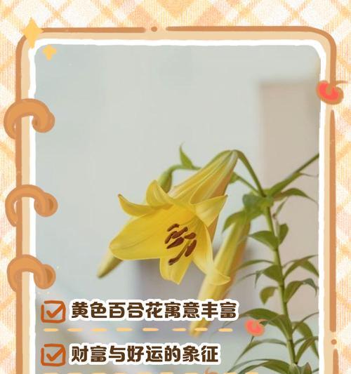 秋天结婚手捧花有何寓意？它的花语是什么？