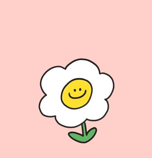 太阳花作为儿童节礼物有何寓意？太阳花代表什么？