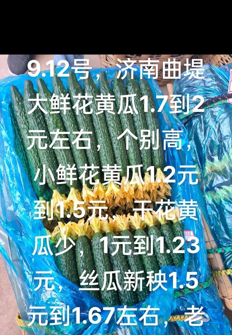 七夕节黄瓜花有何寓意？如何在节日中使用？