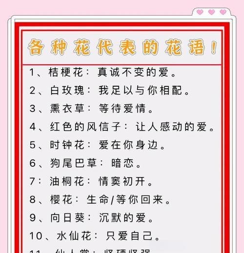 什么是爱情花的象征意义？