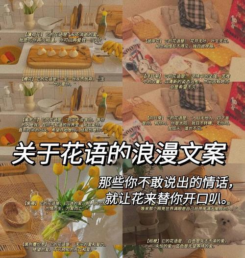 花语愿你安宁是什么意思？如何表达？