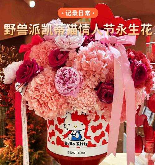 红色永生花的含义是什么？它象征着什么？