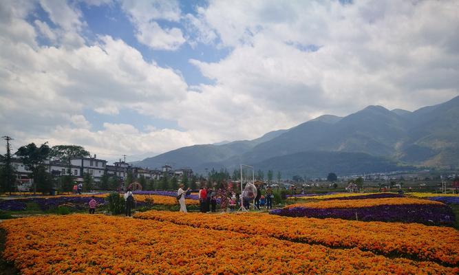 花语如何描绘牧场景色？