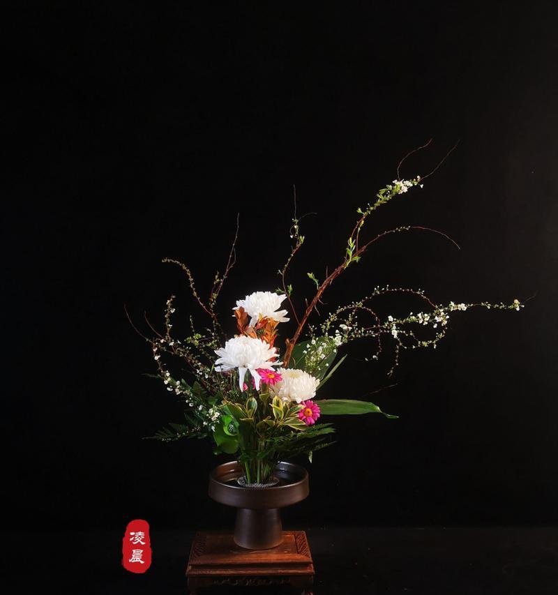 黑色打破碗花的寓意是什么？它们象征着什么？