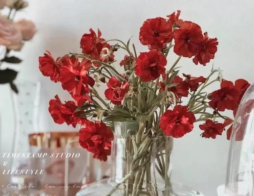 橘色花毛茛的花语和寓意是什么？它在婚礼中代表什么？
