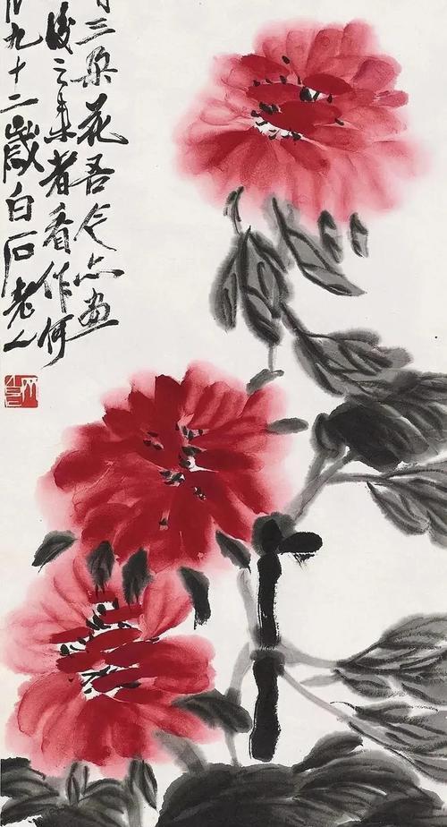 富贵花象征着什么？