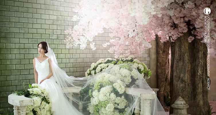 豆豆被浪漫花语是什么意思？如何用豆豆被表达爱意？