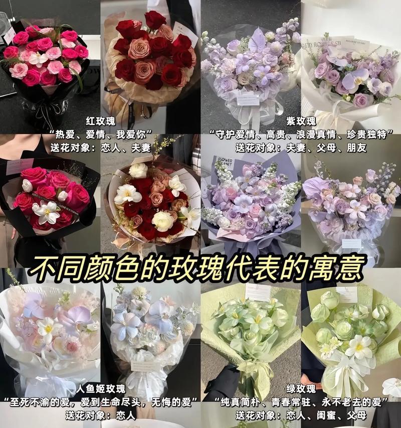 玫瑰花不同颜色的含义是什么？玫瑰花的花语有哪些？