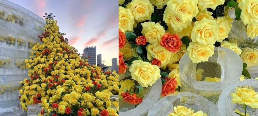 鲜花与黄色花搭配的寓意是什么？