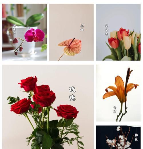 母亲节送什么花最合适？这些花的象征意义是什么？
