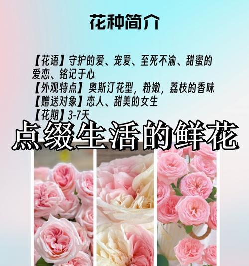 哪些花种象征着爱情？