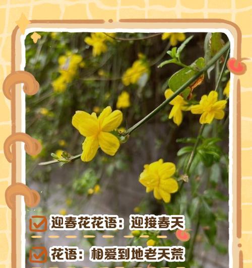 象征平安的水生花有哪些？它们的花语是什么？