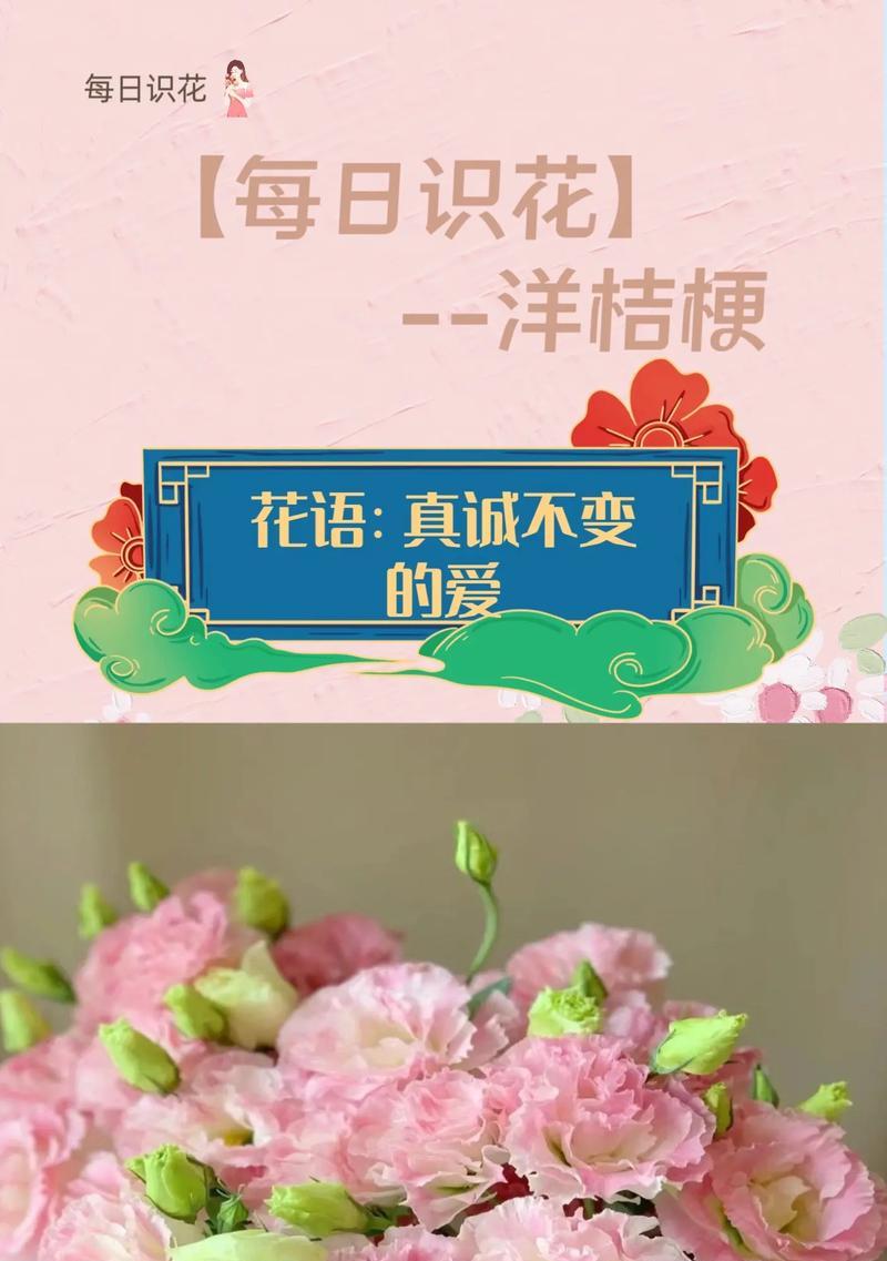 团状花象征好运和成功吗？它们的寓意是什么？