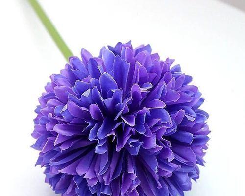 蓝色假花有哪些禁忌和寓意？