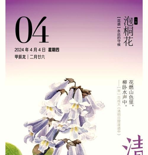 花语中的“轻色”是什么意思？