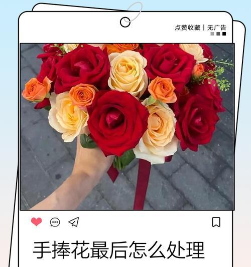 手捧花有哪些寓意好的成语？手捧花的成语寓意是什么？