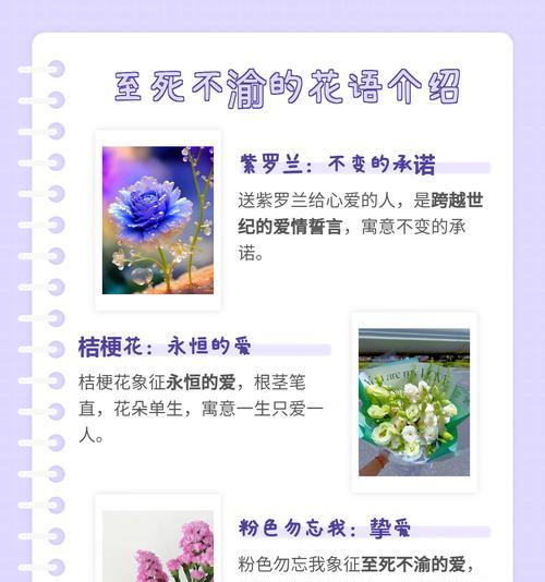 哪些花不象征爱情而是友情？友情花语有哪些？
