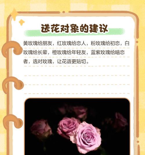 哪些花不象征爱情而是友情？友情花语有哪些？