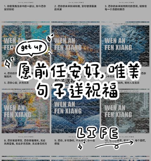 哪些花寓意着对前任的祝福？