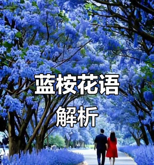 蓝色时期花语是什么？