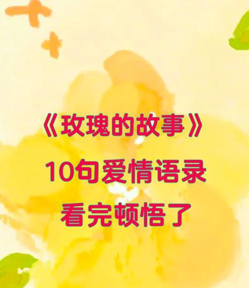 哪种花象征着爱情的执着？