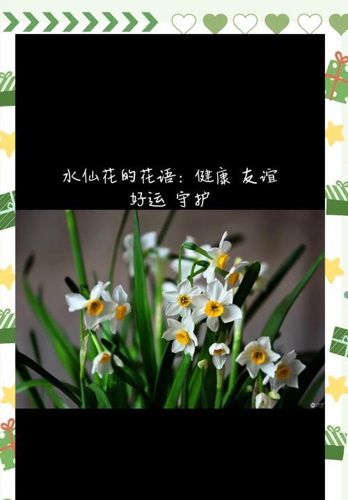 如何制作花语健康教案？花语在健康教育中的作用是什么？