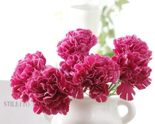 母亲节送假花有何寓意？假花能否表达真挚的情感？
