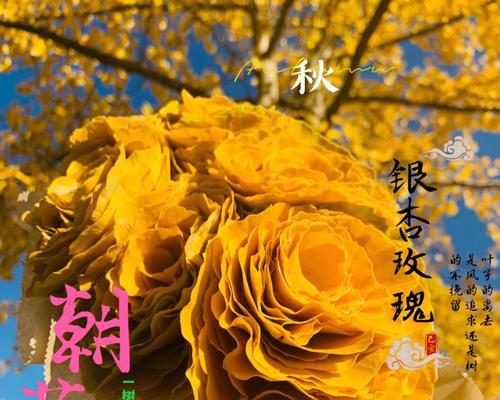 银杏的花语祝福有哪些？