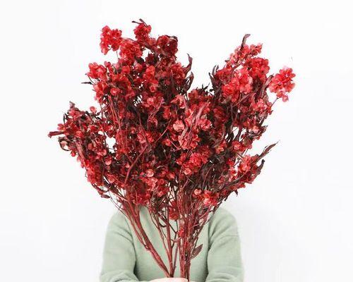 红色永生花象征着什么？