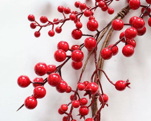 红色永生花象征着什么？