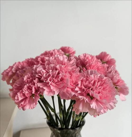 花的造型和色彩寓意是什么？如何通过花的造型和色彩表达情感？