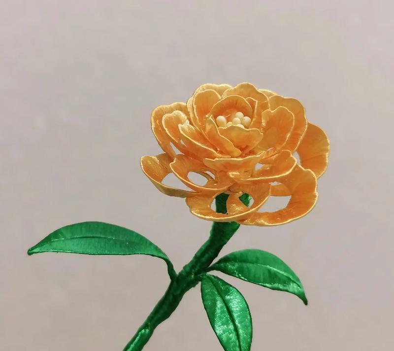 金色蔷薇花代表什么？它的意思和含义是什么？