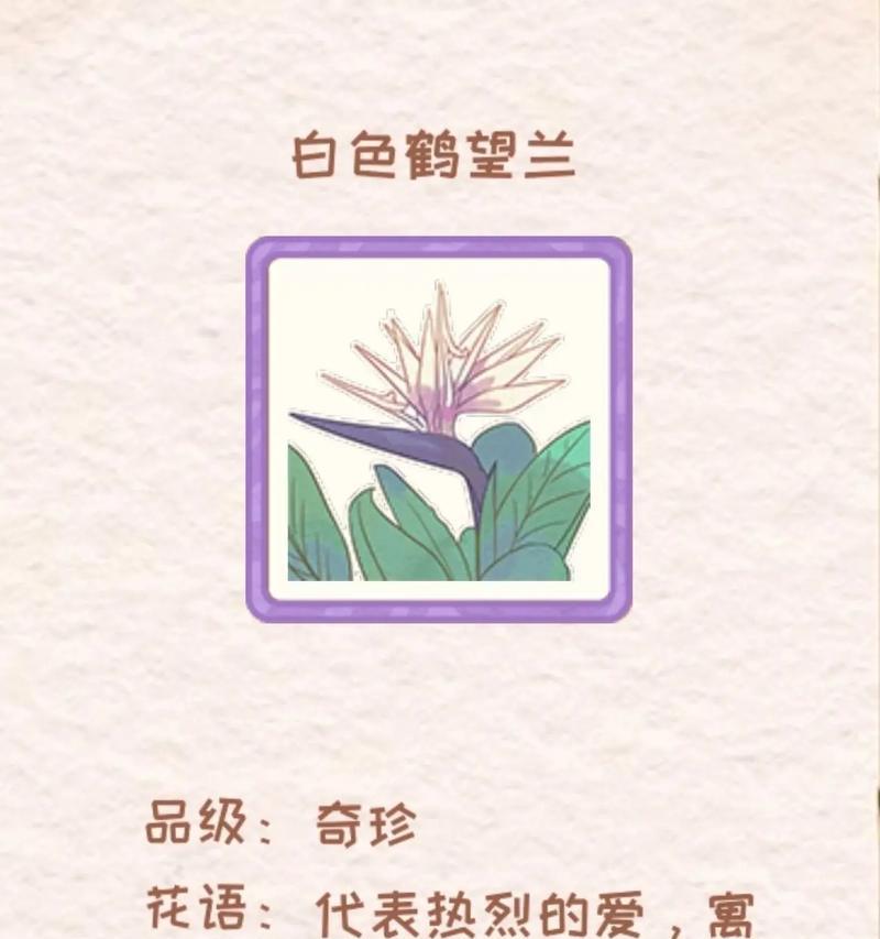 什么花是象征着幸福的？幸福花的花语和寓意是什么？