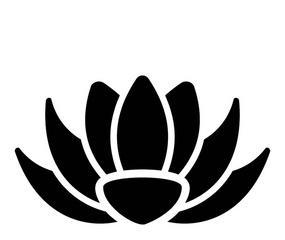 灰色百合花的意义是什么？它的寓意有哪些？