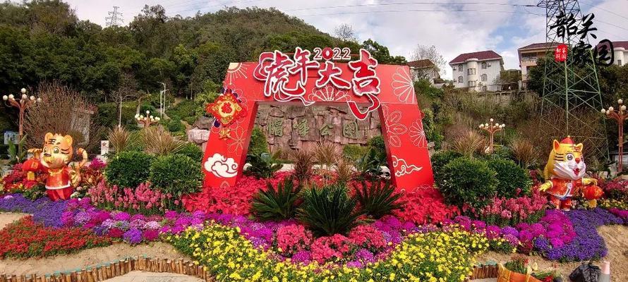 家里摆花迎春节的寓意是什么？有哪些吉祥花卉推荐？
