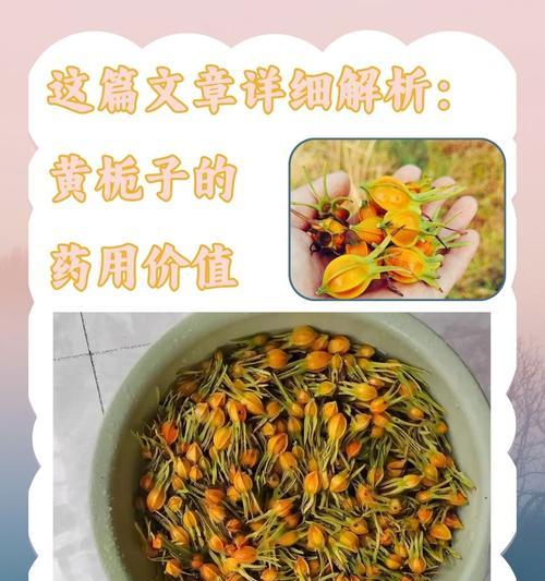 黄色花的意义是什么？