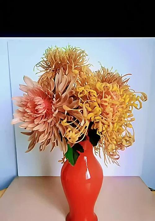 假花颜色不同寓意有何区别？各种颜色假花代表什么？
