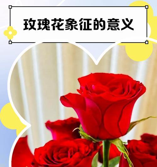 哪种花象征爱情却带有悲惨的寓意？