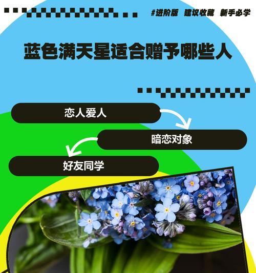 幸福花和满天星的含义分别是什么？