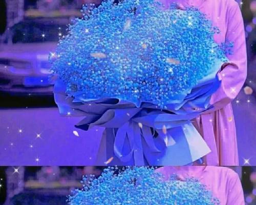 幸福花和满天星的含义分别是什么？