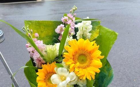 哪些花代表祝福意义？如何选择寓意祝福的花卉？