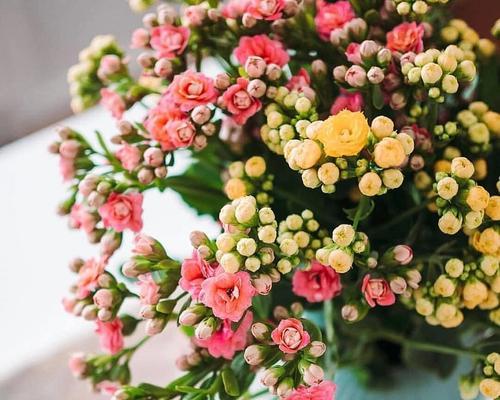 哪种花的寓意是快乐？快乐的花有哪些？