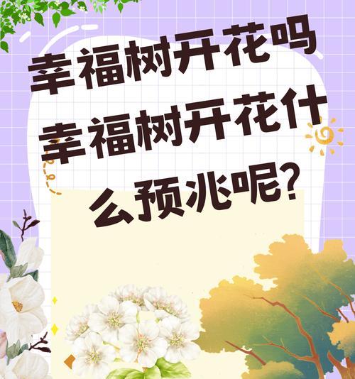 哪些花或植物象征幸福？象征幸福的花有哪些？