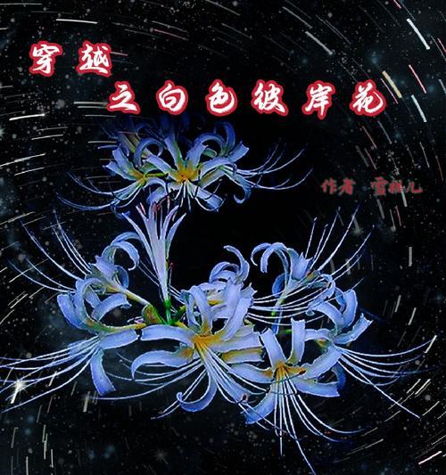 白色的彼岸花代表什么？白色彼岸花的寓意和象征是什么？