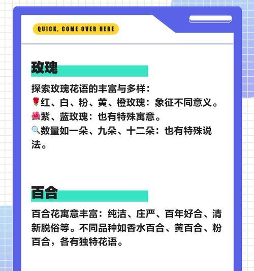 情人节送丈母娘什么花？它的花语有何含义？