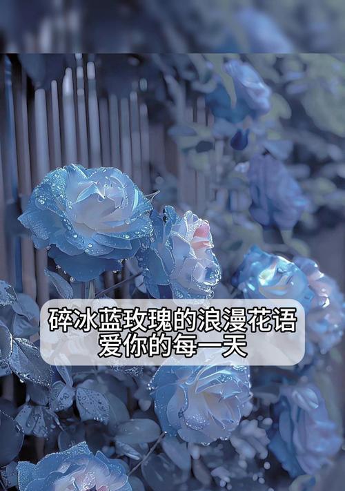 蓝锁花的浪漫花语是什么？