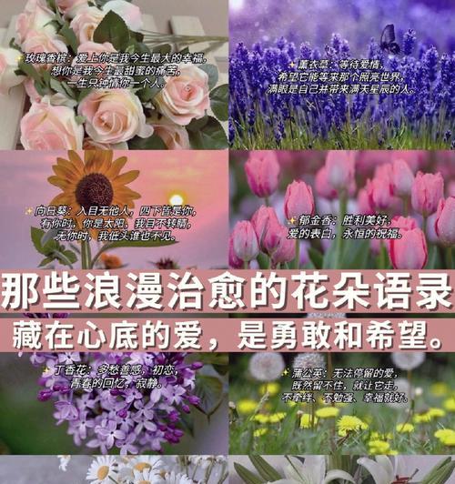 蓝锁花的浪漫花语是什么？